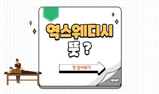 역스웨디시 뜻? 스웨디시랑 다른 차이