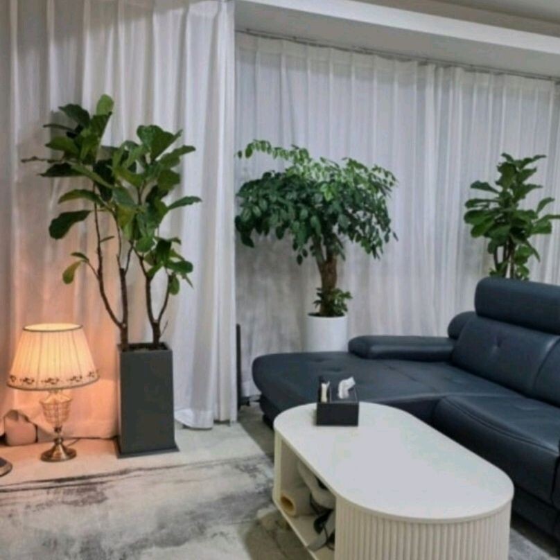 울산 달동 [자람체형관리] ☘️ 스포츠 아로마 타이 마사지 관리사님 구인합니다!☘️ㅣ울산 마사지구인 #1