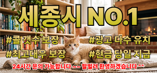 세종 [퍼스트테라피] ⚡주간/야간⚡경력우대⚡초보/알바 가능⚡세종 NO.1 샵⚡ㅣ세종 마…