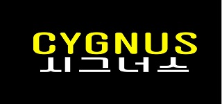 ❇️신규샵❇️춘천 시그너스(CYGNUS)❇️젊은 사장님과 최고급 인테리어❇️돈 많이 벌…