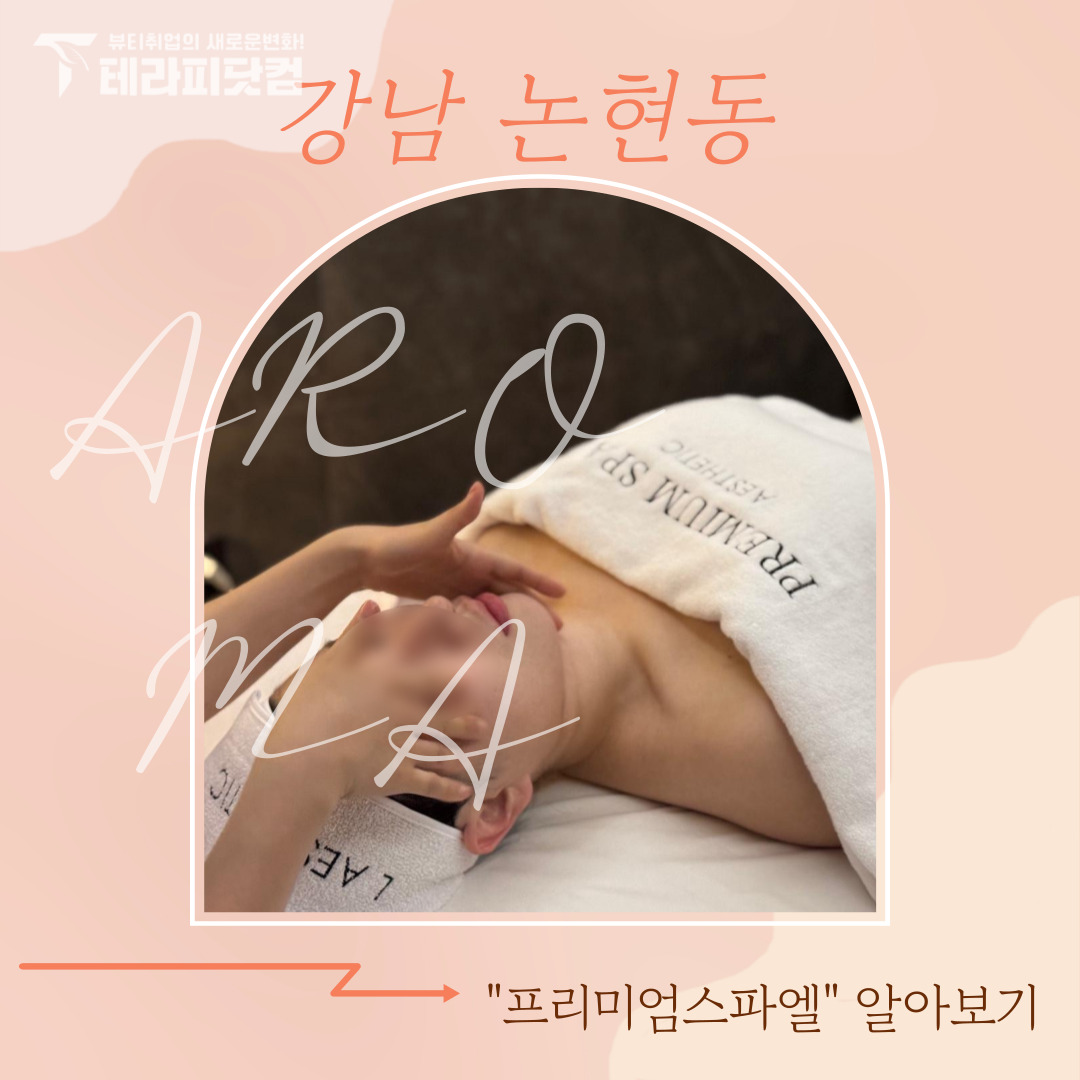 강남 논현동 [프리미엄스파엘] 마사지구인구직 인스타 포스팅