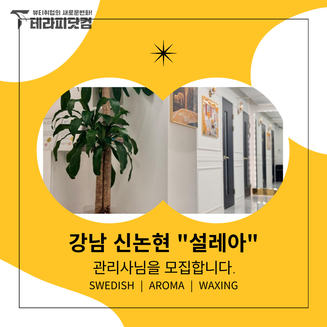 강남 신논현 [설레아] 마사지구인구직 인스타 포스팅